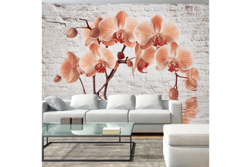 Valokuvatapetti The Orange Arc 100x70, Artgeist sp. z o. o.