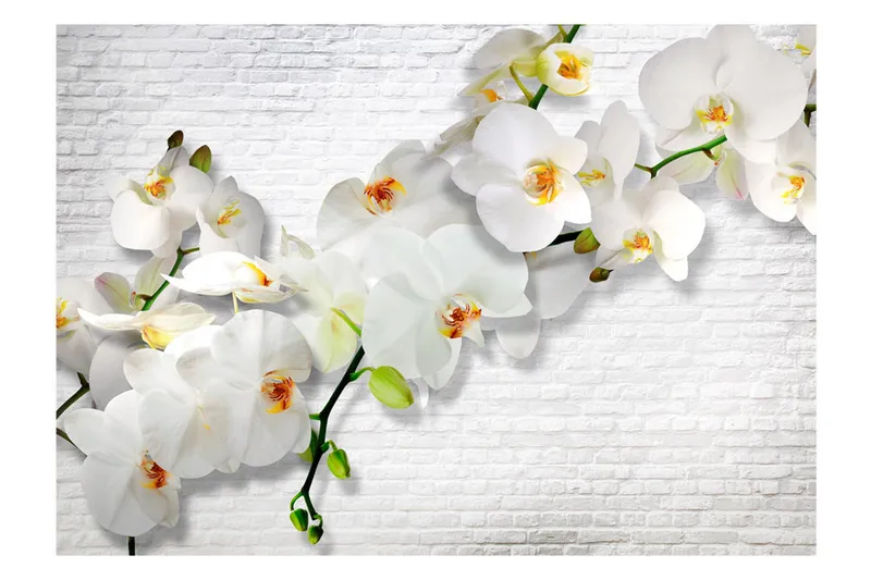 Valokuvatapetti The Urban Orchid 150x105 - Artgeist sp. z o. o. - Sisustustuotteet - Seinäkoristeet - Tapetit - Valokuvatapetit