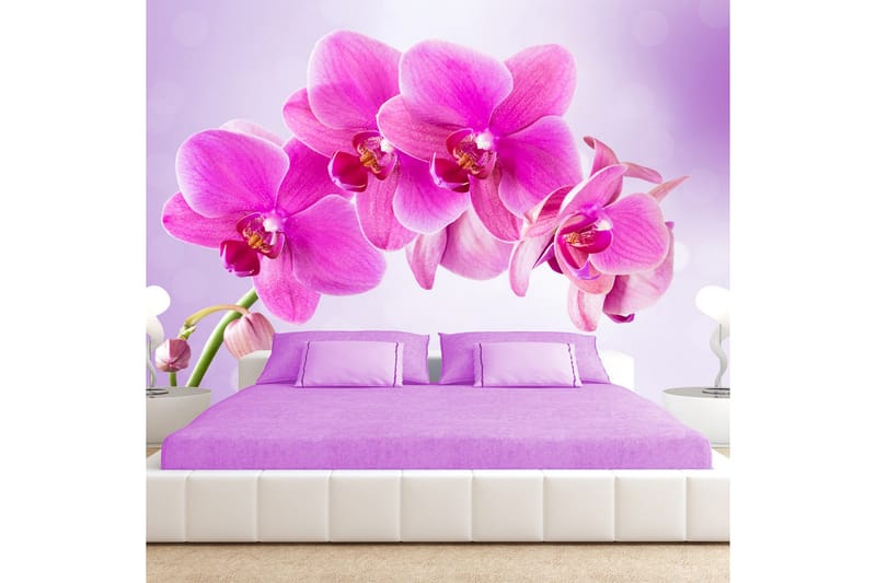 Valokuvatapetti Thoughtfulness 200x140, Artgeist sp. z o. o.