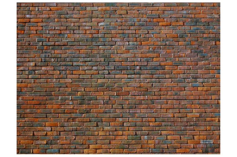 Valokuvatapetti Tiiliseinä 200x154, Artgeist sp. z o. o.