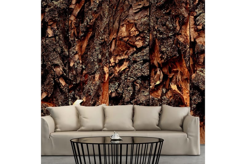 Valokuvatapetti Time Carved In The Tree 50x1000, Artgeist sp. z o. o.