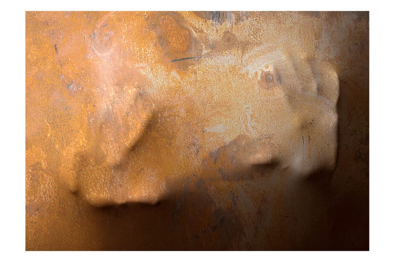 Valokuvatapetti Touch 100x70 - Artgeist sp. z o. o. - Sisustustuotteet - Seinäkoristeet - Tapetit - Valokuvatapetit