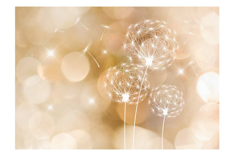 Valokuvatapetti Touch Of Summer 250x175 - Artgeist sp. z o. o. - Sisustustuotteet - Seinäkoristeet - Tapetit - Valokuvatapetit