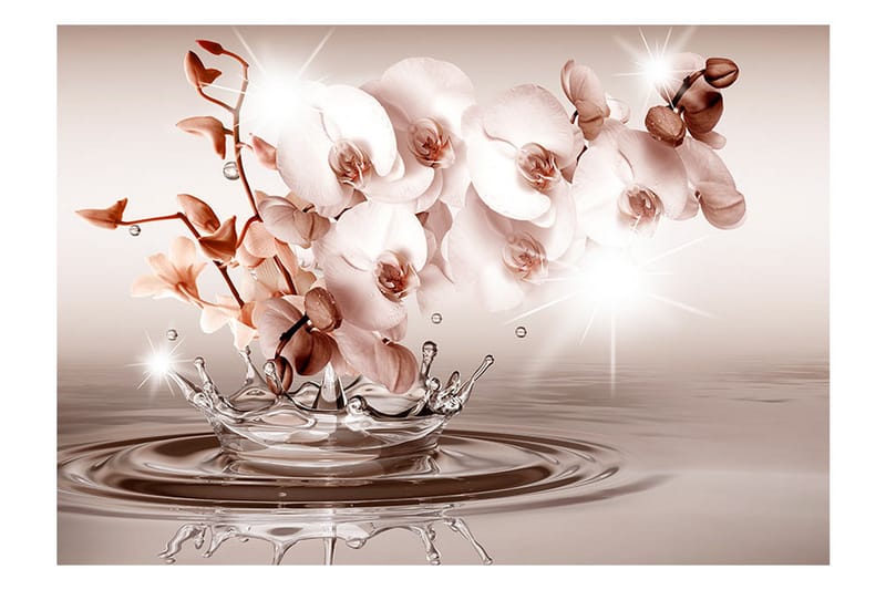 Valokuvatapetti Touch Of Tenderness 100x70 - Artgeist sp. z o. o. - Sisustustuotteet - Seinäkoristeet - Tapetit - Valokuvatapetit