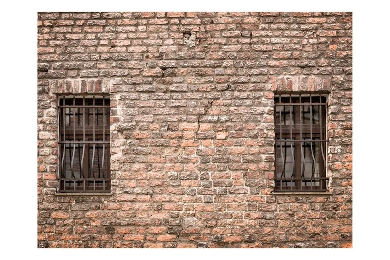 Valokuvatapetti Trapped Reality 200x154, Artgeist sp. z o. o.