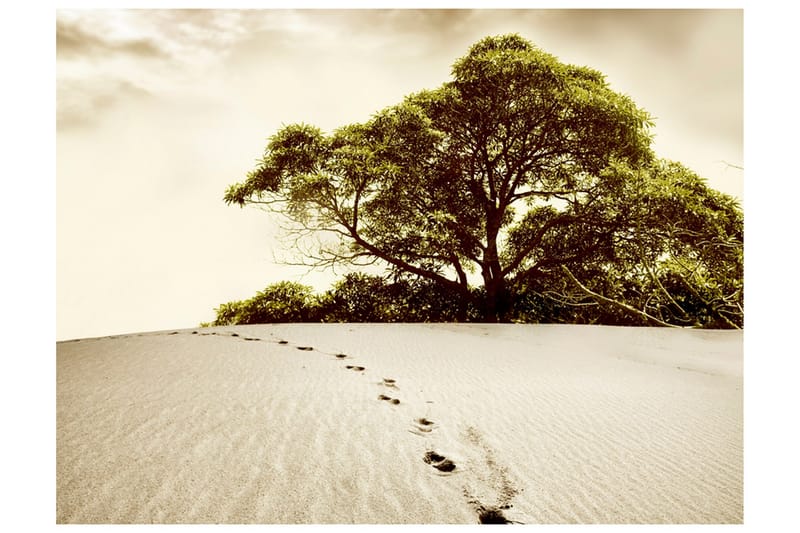 Valokuvatapetti Tree Desert 250x193, Artgeist sp. z o. o.