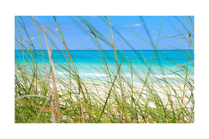 Valokuvatapetti Tropical Journey 450x270, Artgeist sp. z o. o.