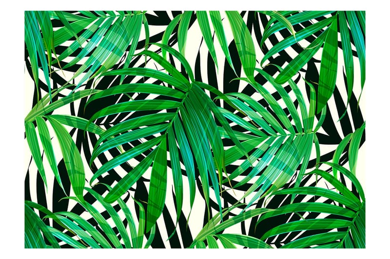 Valokuvatapetti Tropical Leaves 150x105, Artgeist sp. z o. o.