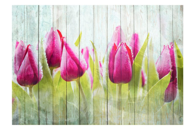 Valokuvatapetti Tulips On White Wood 100x70 - Artgeist sp. z o. o. - Sisustustuotteet - Seinäkoristeet - Tapetit - Valokuvatapetit