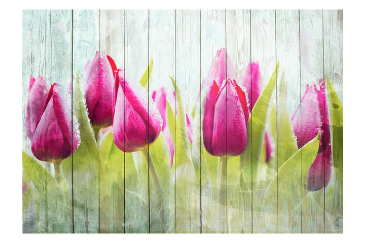 Valokuvatapetti Tulips On White Wood 300x210 - Artgeist sp. z o. o. - Valokuvatapetit