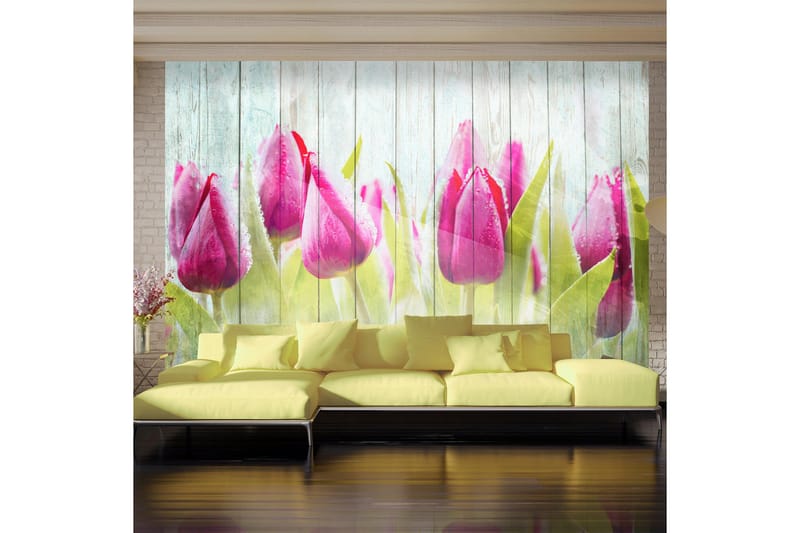 Valokuvatapetti Tulips On White Wood 350x245, Artgeist sp. z o. o.
