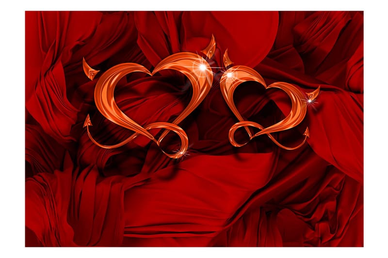 Valokuvatapetti Two Hearts 300x210 - Artgeist sp. z o. o. - Sisustustuotteet - Seinäkoristeet - Tapetit - Valokuvatapetit