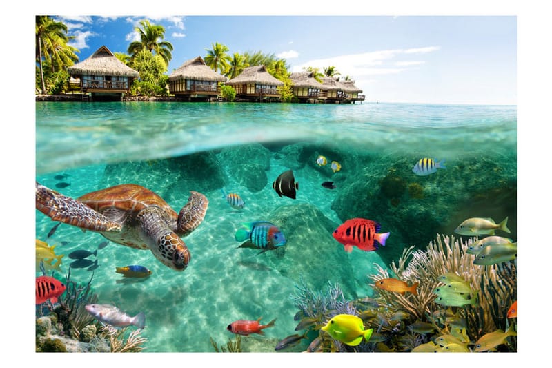 Valokuvatapetti Under The Surface Of Water 100x70 - Artgeist sp. z o. o. - Sisustustuotteet - Seinäkoristeet - Tapetit - Valokuvatapetit