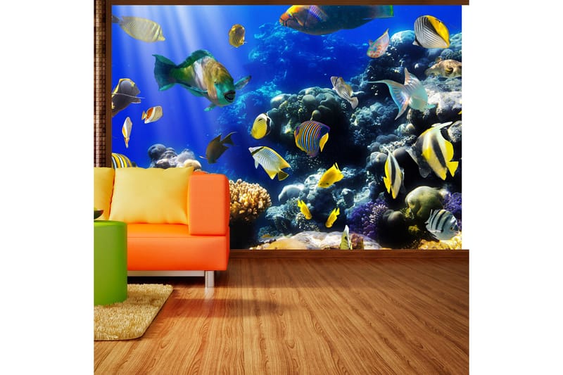 Valokuvatapetti Underwater Adventure 150x105, Artgeist sp. z o. o.