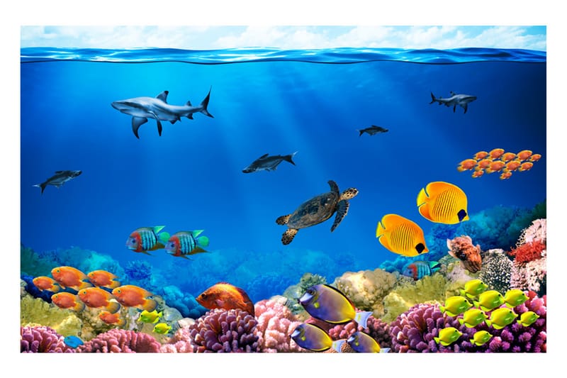 Valokuvatapetti Underwater Kingdom 300x210 - Artgeist sp. z o. o. - Sisustustuotteet - Seinäkoristeet - Tapetit - Valokuvatapetit