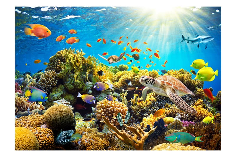 Valokuvatapetti Underwater Land 150x105 - Artgeist sp. z o. o. - Sisustustuotteet - Seinäkoristeet - Tapetit - Valokuvatapetit