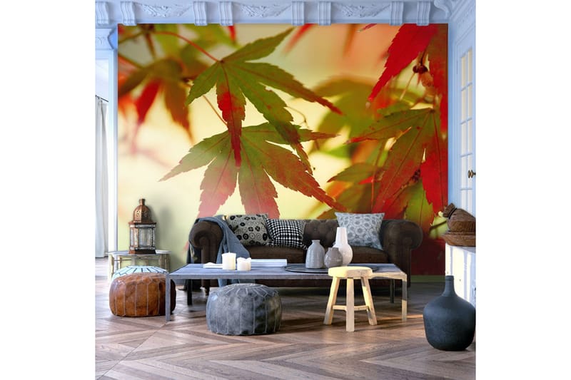 Valokuvatapetti Värikkäät lehdet 300x231 - Artgeist sp. z o. o. - Sisustustuotteet - Seinäkoristeet - Tapetit - Valokuvatapetit