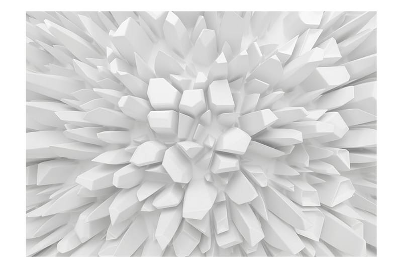 Valokuvatapetti Valkoinen Dahlia 150x105 - Artgeist sp. z o. o. - Sisustustuotteet - Seinäkoristeet - Tapetit - Valokuvatapetit