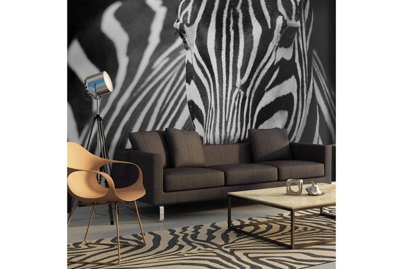 Valokuvatapetti Valkoinen Mustat Raidat 250x193 - Artgeist sp. z o. o. - Sisustustuotteet - Seinäkoristeet - Tapetit - Valokuvatapetit