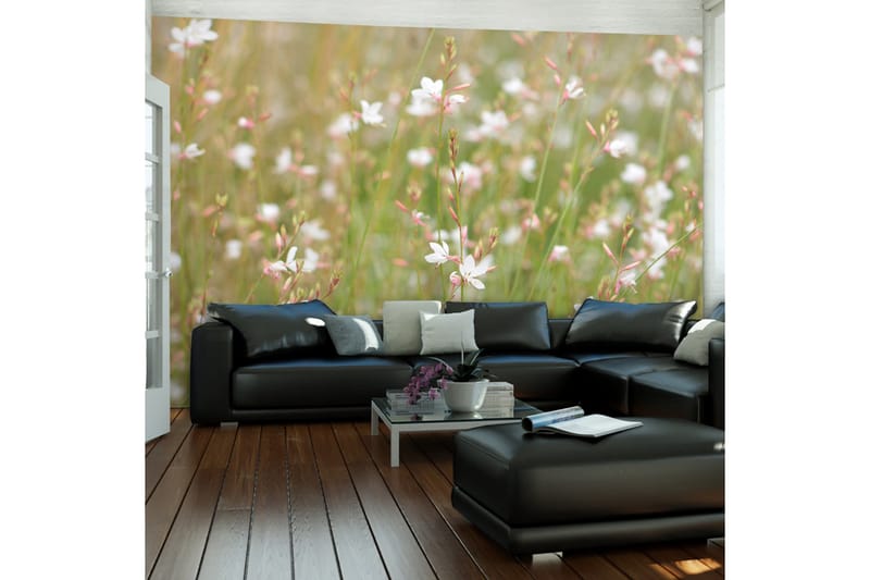 Valokuvatapetti Valkoiset Herkät Kukka 200x154 - Artgeist sp. z o. o. - Sisustustuotteet - Seinäkoristeet - Tapetit - Valokuvatapetit