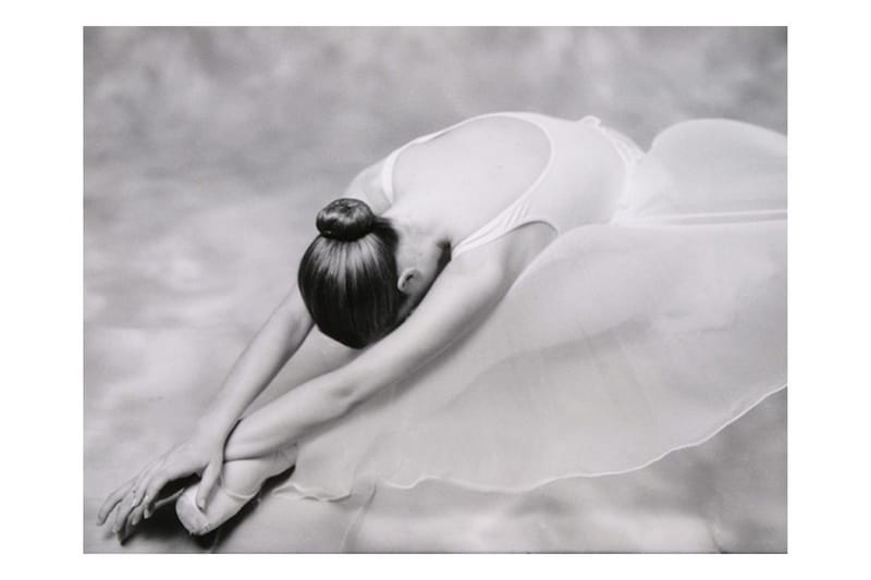 Valokuvatapetti Valokuvaus Ballerina 300x231 - Artgeist sp. z o. o. - Sisustustuotteet - Seinäkoristeet - Tapetit - Valokuvatapetit