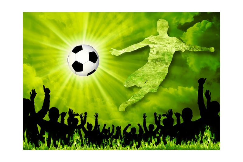 Valokuvatapetti Victory! 350x245 - Artgeist sp. z o. o. - Sisustustuotteet - Seinäkoristeet - Tapetit - Valokuvatapetit
