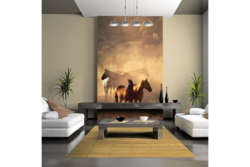 Valokuvatapetti Villit hevoset arolla 300x231 - Artgeist sp. z o. o. - Sisustustuotteet - Seinäkoristeet - Tapetit - Valokuvatapetit