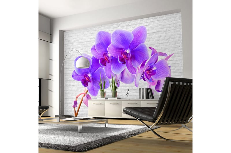 Valokuvatapetti Violet Excitation 300x210 - Artgeist sp. z o. o. - Sisustustuotteet - Seinäkoristeet - Tapetit - Valokuvatapetit