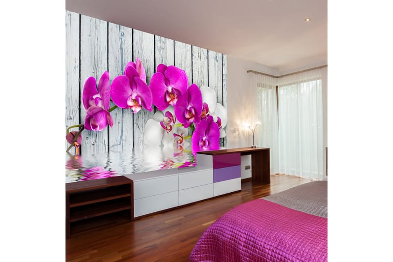 Valokuvatapetti Violet Orchids With Water Reflexion 350x270 - Artgeist sp. z o. o. - Sisustustuotteet - Seinäkoristeet - Tapetit - Valokuvatapetit