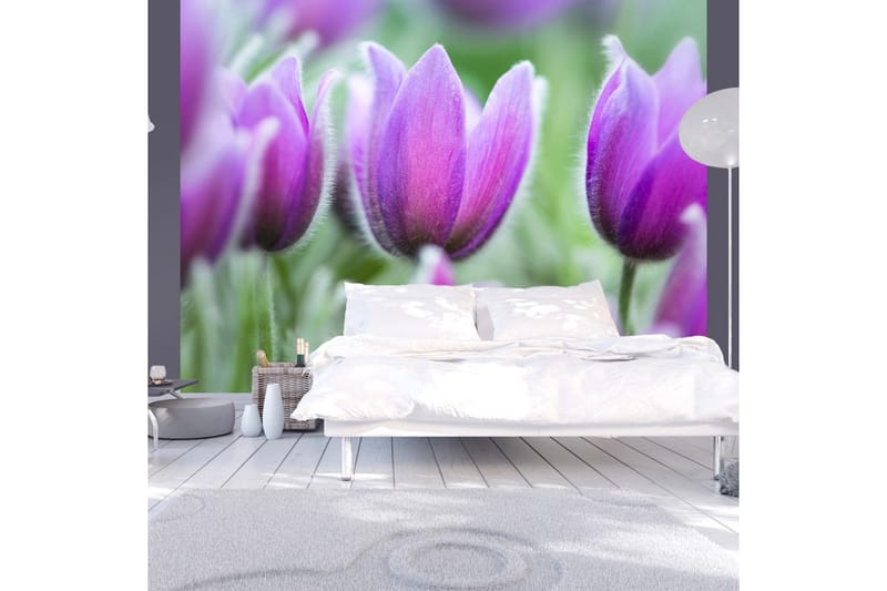 Valokuvatapetti Violetti Kevät Tulppaanit 200x154 - Artgeist sp. z o. o. - Sisustustuotteet - Seinäkoristeet - Tapetit - Valokuvatapetit