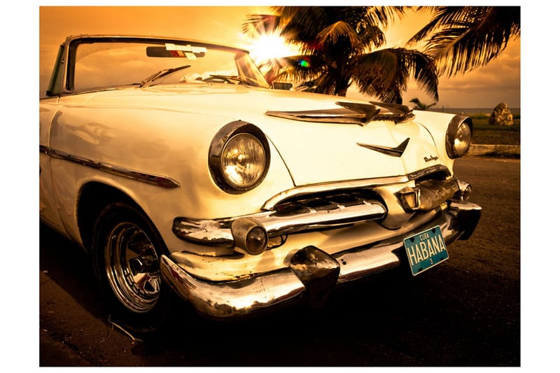 Valokuvatapetti Viva! 200x154 - Artgeist sp. z o. o. - Sisustustuotteet - Seinäkoristeet - Tapetit - Valokuvatapetit