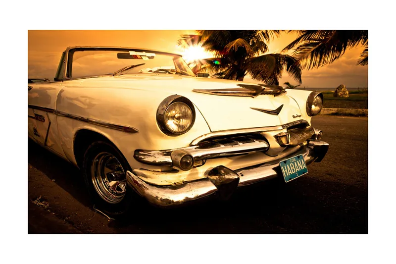 Valokuvatapetti Viva! 450x270 - Artgeist sp. z o. o. - Sisustustuotteet - Seinäkoristeet - Tapetit - Valokuvatapetit