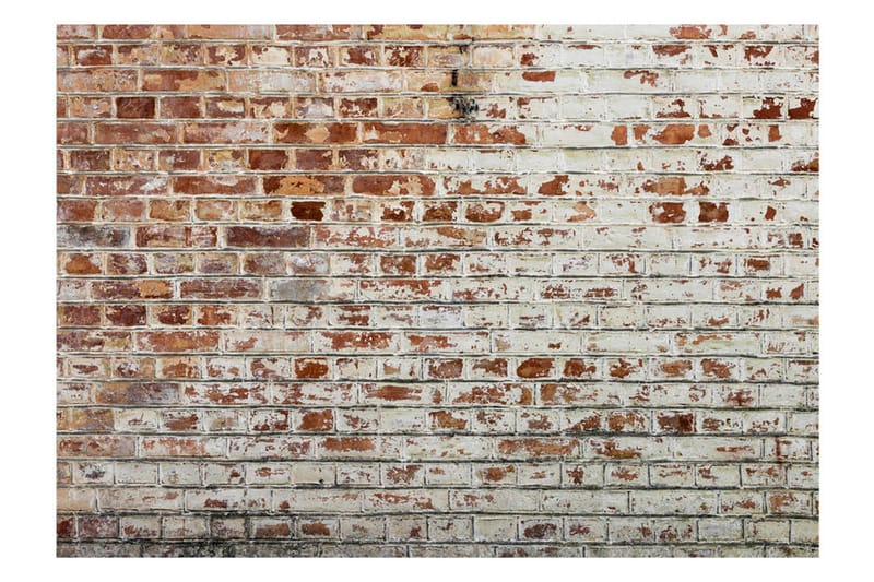 Valokuvatapetti Walls Of Memory 300x210 - Artgeist sp. z o. o. - Sisustustuotteet - Seinäkoristeet - Tapetit - Valokuvatapetit