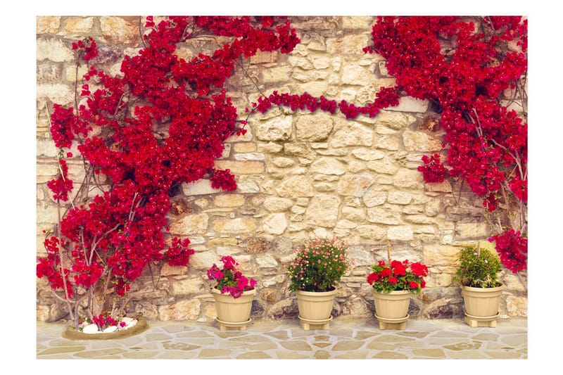 Valokuvatapetti Warm Afternoon 150x105 - Artgeist sp. z o. o. - Sisustustuotteet - Seinäkoristeet - Tapetit - Valokuvatapetit