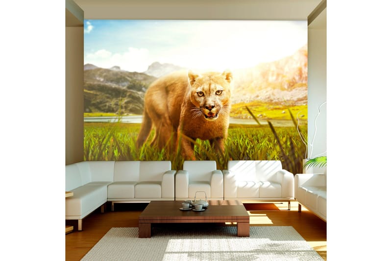 Valokuvatapetti Watch Out! 200x140, Artgeist sp. z o. o.