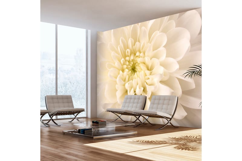 Valokuvatapetti White Dahlia 350x270, Artgeist sp. z o. o.