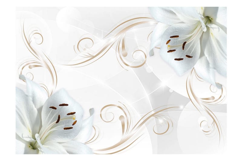 Valokuvatapetti White Dancers 200x140 - Artgeist sp. z o. o. - Sisustustuotteet - Seinäkoristeet - Tapetit - Valokuvatapetit