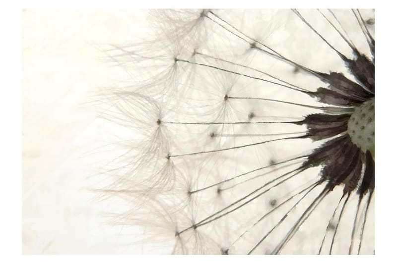 Valokuvatapetti White Dandelion 300x210 - Artgeist sp. z o. o. - Sisustustuotteet - Seinäkoristeet - Tapetit - Valokuvatapetit