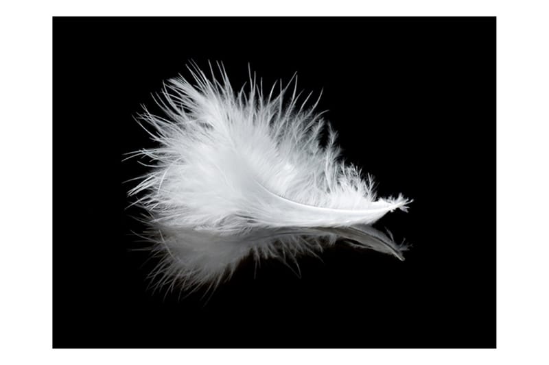 Valokuvatapetti White Feather 350x270 - Artgeist sp. z o. o. - Sisustustuotteet - Seinäkoristeet - Tapetit - Valokuvatapetit