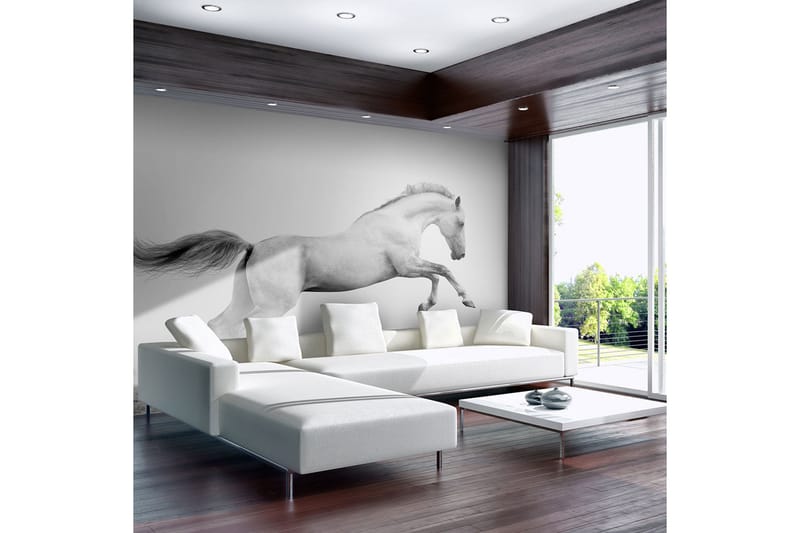 Valokuvatapetti White Gallop 350x270, Artgeist sp. z o. o.