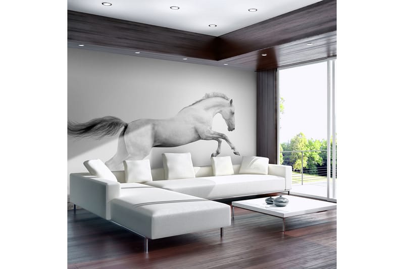 Valokuvatapetti White Gallop 400x309, Artgeist sp. z o. o.