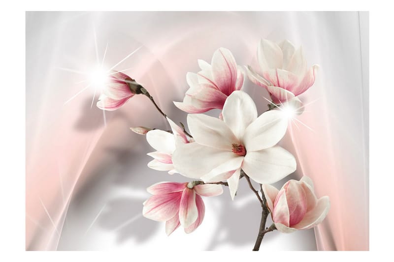 Valokuvatapetti White Magnolias 400x280 - Artgeist sp. z o. o. - Sisustustuotteet - Seinäkoristeet - Tapetit - Valokuvatapetit