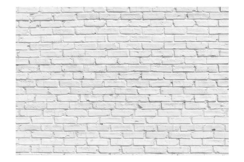 Valokuvatapetti White Stone 400x280 - Artgeist sp. z o. o. - Sisustustuotteet - Seinäkoristeet - Tapetit - Valokuvatapetit