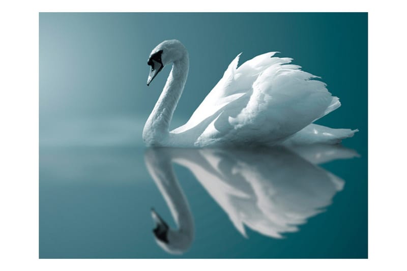 Valokuvatapetti White swan 300x231 - Artgeist sp. z o. o. - Sisustustuotteet - Seinäkoristeet - Tapetit - Valokuvatapetit