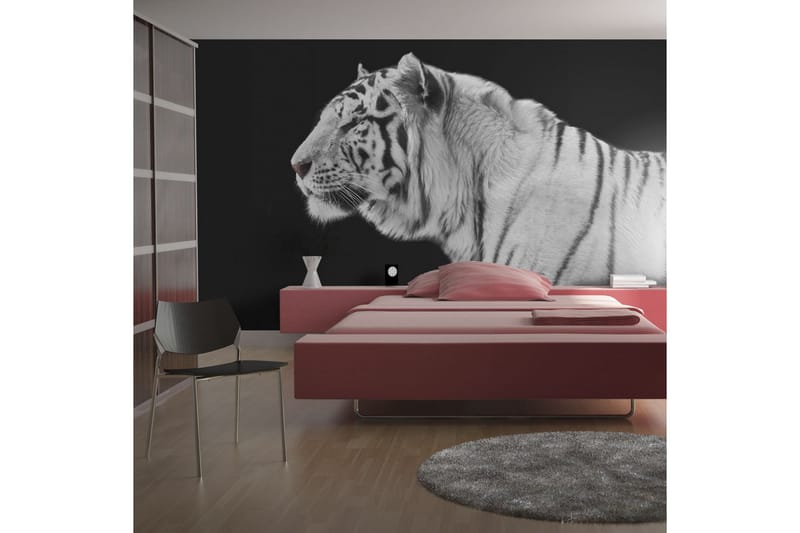 Valokuvatapetti White Tiger 300x231 - Artgeist sp. z o. o. - Sisustustuotteet - Seinäkoristeet - Tapetit - Valokuvatapetit