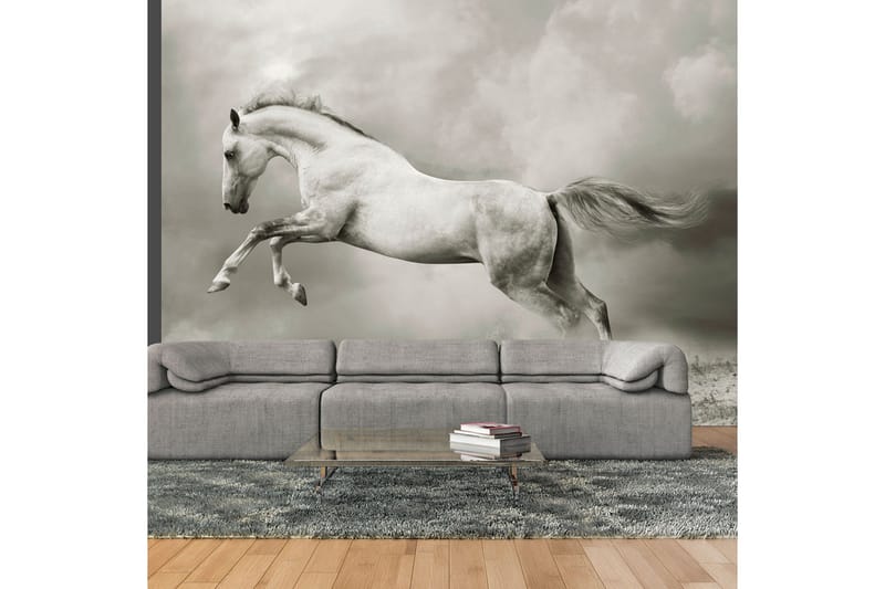 Valokuvatapetti Wild Stallion 200x154 - Artgeist sp. z o. o. - Sisustustuotteet - Seinäkoristeet - Tapetit - Valokuvatapetit