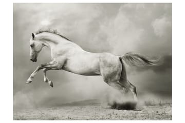 Valokuvatapetti Wild Stallion 300x231 - Artgeist sp. z o. o. - Sisustustuotteet - Seinäkoristeet - Tapetit - Valokuvatapetit
