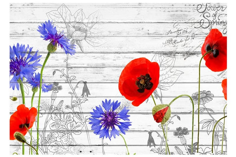 Valokuvatapetti Wildflowers 200x140 - Artgeist sp. z o. o. - Sisustustuotteet - Seinäkoristeet - Tapetit - Valokuvatapetit