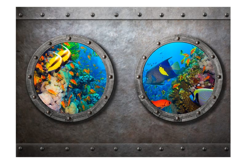 Valokuvatapetti Window To The Underwater World 150x105 - Artgeist sp. z o. o. - Sisustustuotteet - Seinäkoristeet - Tapetit - Valokuvatapetit
