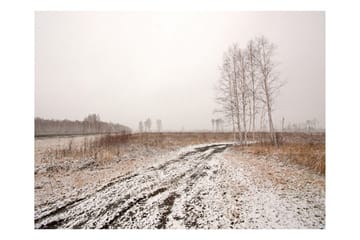 Valokuvatapetti Winter Field 250x193 - Artgeist sp. z o. o. - Sisustustuotteet - Seinäkoristeet - Tapetit - Valokuvatapetit